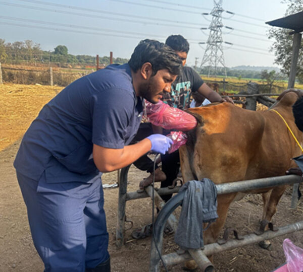 On-farm Services