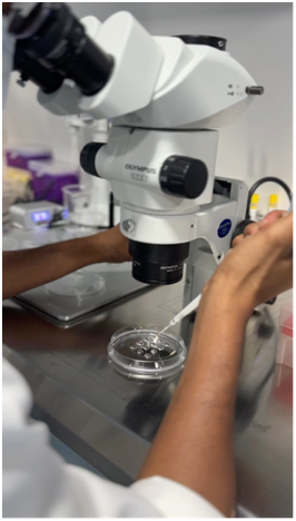 IVF Lab Setup & Training